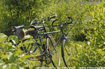 Ideal für Radfahrer